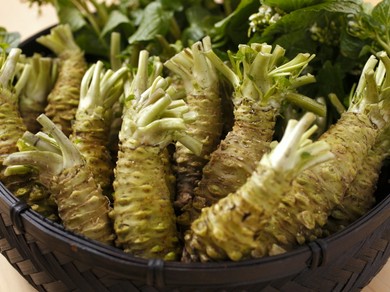 食材にこだわっている