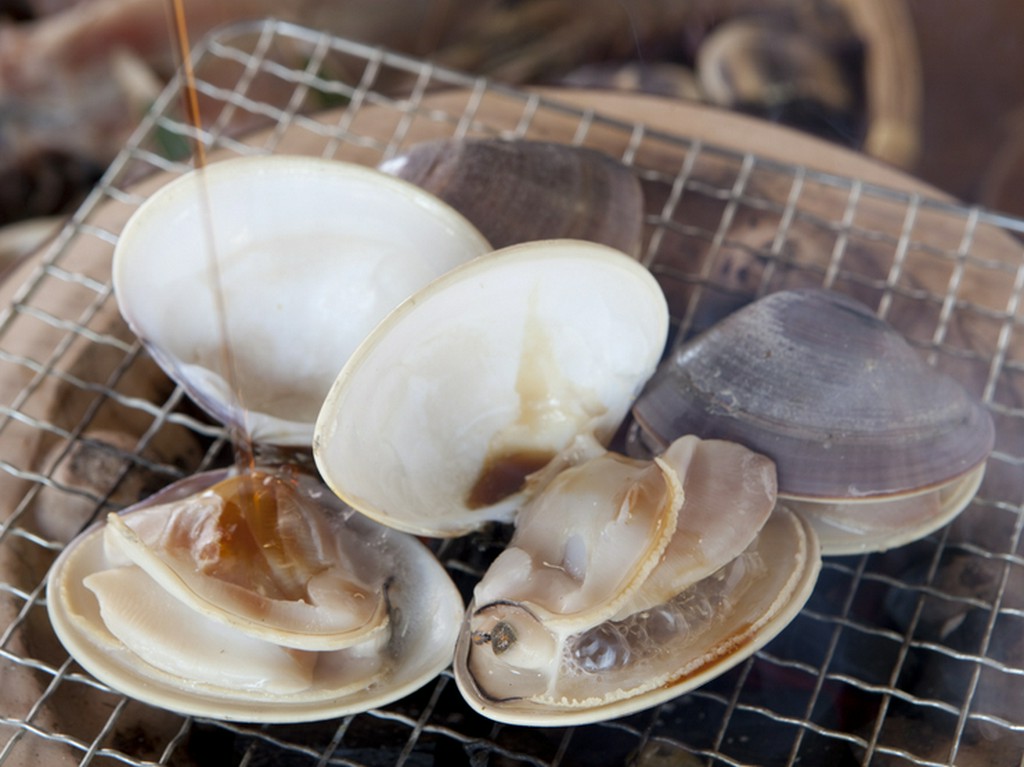 炭火七輪で焼く地元とれたての魚介。いちおしは『焼はまぐり』