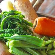 糸島、卯農園の有機栽培野菜に八女の減農薬有機野菜