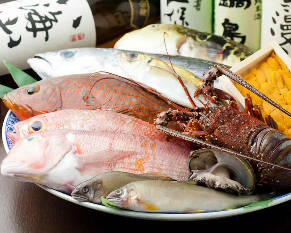 その日に仕入れた最高の食材をご提供します