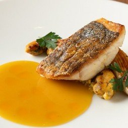 平日限定メインを選べるショートコース全3品