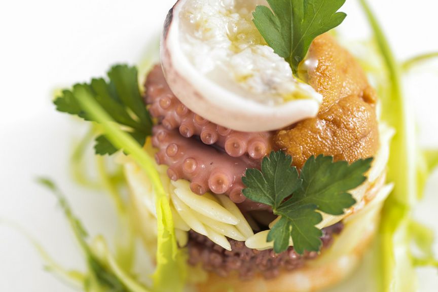 『イイダコ、芝エビ、リゾーニ、プンタレッラのインサラータと生ウニ』