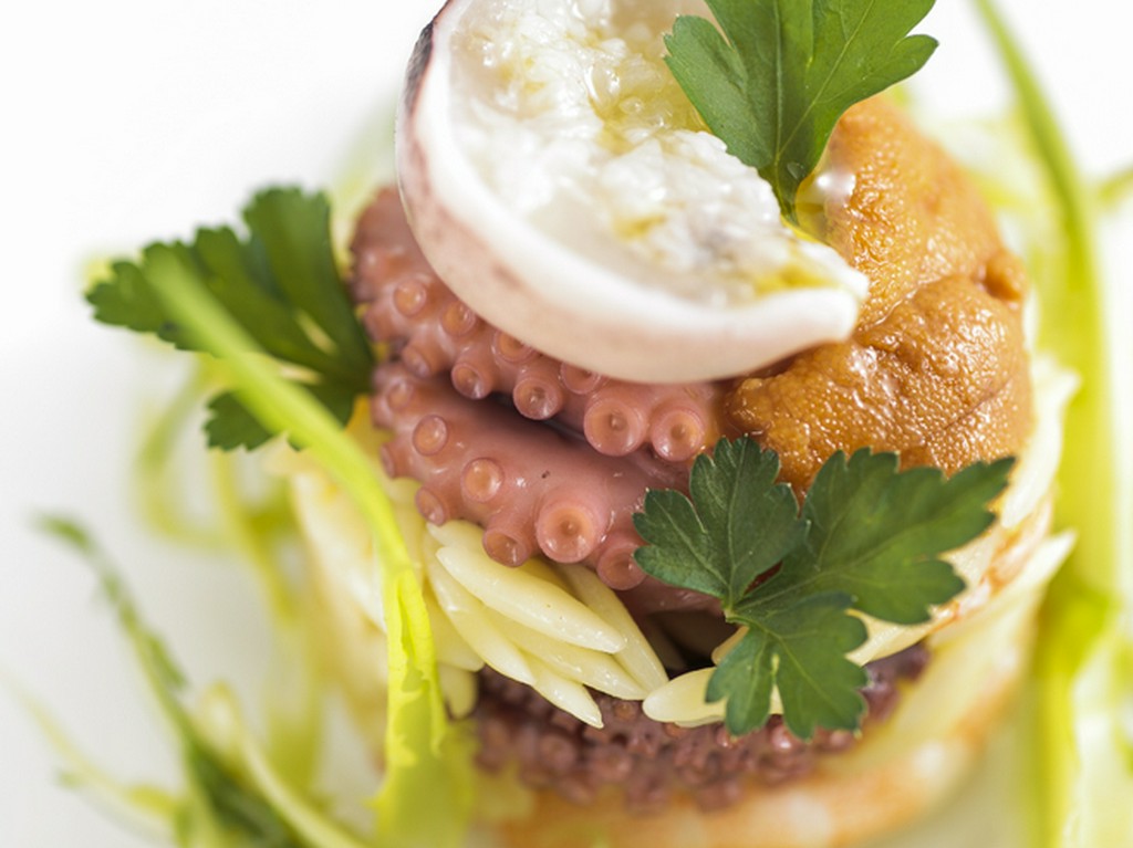 『イイダコ、芝エビ、リゾーニ、プンタレッラのインサラータと生ウニ』