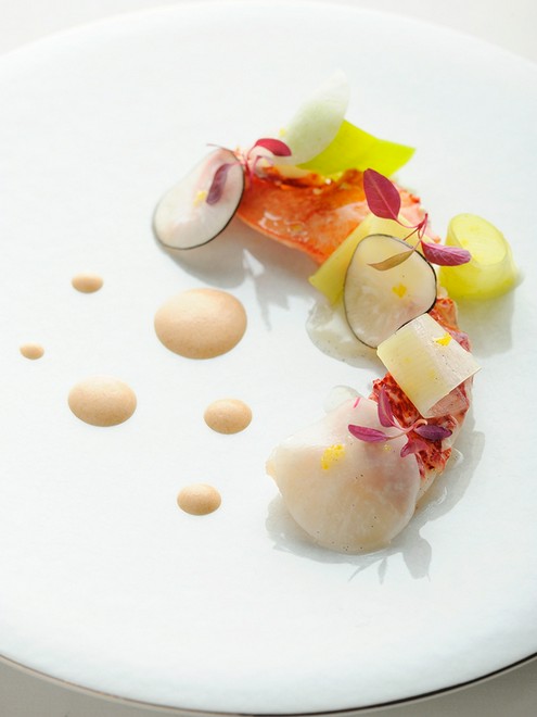 イチオシ･話題のメニュー