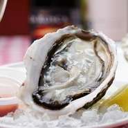 厚生労働省の規定よりもさらに厳しい自主基準で安全に配慮しながら、季節の美味しい牡蠣を厳選しています。