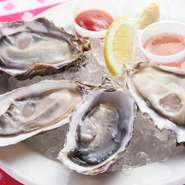 4pcs　2560円　／　8pcs　5120円　12pcs　7680円