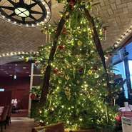 今年も巨大クリスマスツリー入りました。