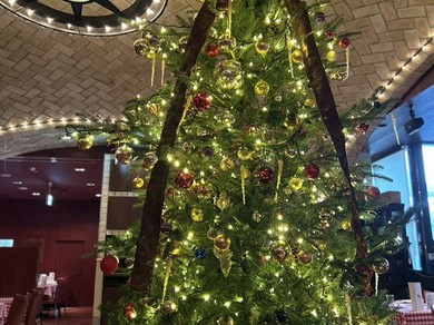 クリスマスツリー入りました