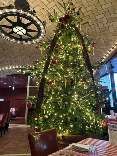 クリスマスツリー入りました