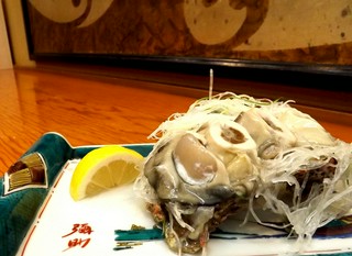 【夏】7月8月　珠洲の天然岩牡蠣　黄金の岩牡蠣