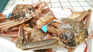 【冬】加能蟹(要予約)