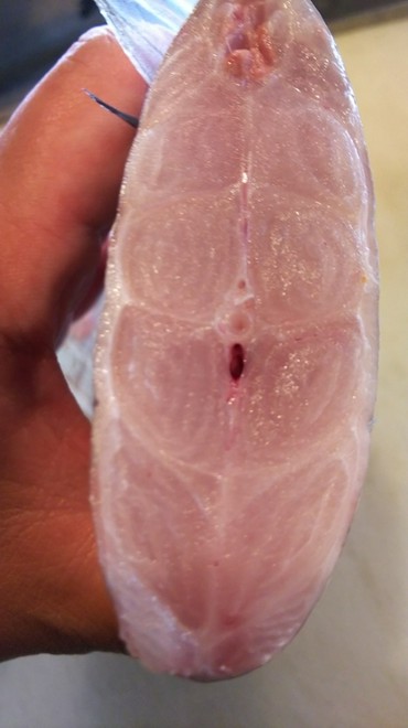 旬の食材にこだわっている