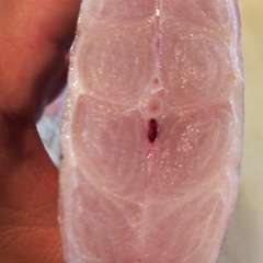 接待や大切な人との時間をゆったりと過ごせる個室