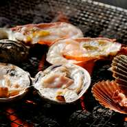 獲れたばかりの旬の魚介をたっぷりご提供いたします。新鮮だからこその味わい深さ。素材の良さを最大限に引き出した料理は【さとや】でお楽しみください。
