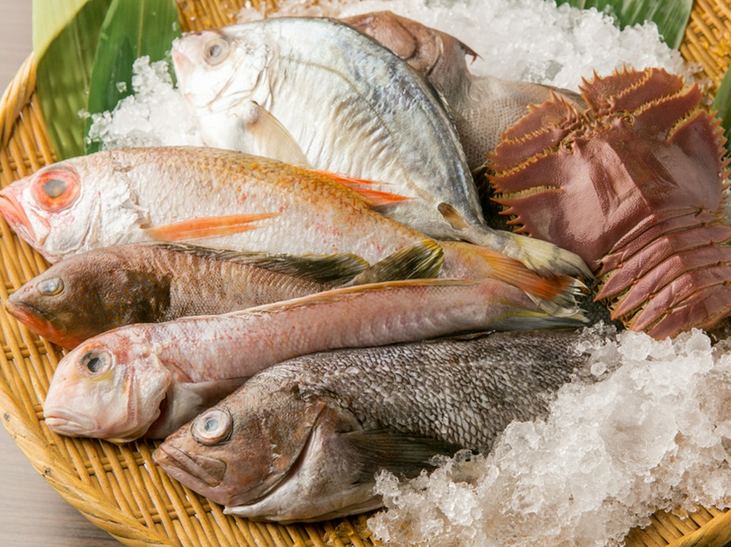 契約漁港から鮮魚を直接仕入れしています