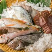 煮たり焼いたり。お好きなように調理いたします！魚種は季節ごとに変わります。