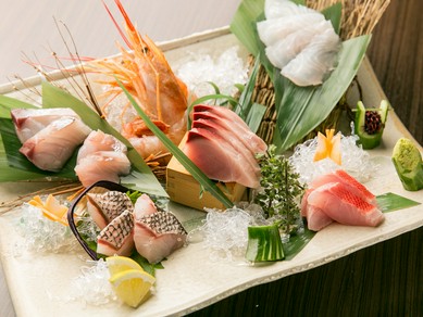 南青山ひふみお勧め！　【玄海灘直送の天然魚】『お造り盛合せ』