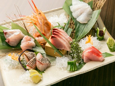 南青山ひふみお勧め！　【玄海灘直送の天然魚】『お造り盛合せ』