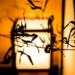 外苑前駅徒歩3分の隠れ家です