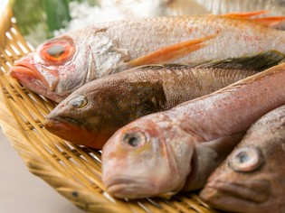 珍しい魚を含め、季節ごとの多彩な鮮魚を一番美味しい調理法で