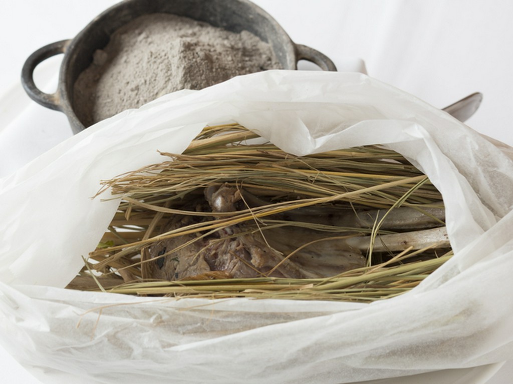 北イタリアを中心に、本物の郷土料理の味を