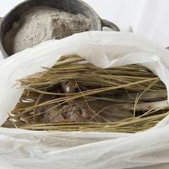 北イタリアを中心に、本物の郷土料理の味を