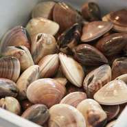 この日に店に届いたハマグリは、千葉県の九十九里産。鮮度がいいのは当然、サイズもしっかりと揃った素材が名物の『蛤の炭火焼き』には不可欠です。その他の魚介類も信頼する網元から直送されてきます。