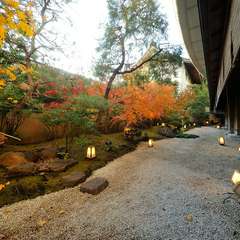 日本庭園を眺めながらお食事を楽しむ大人のデート