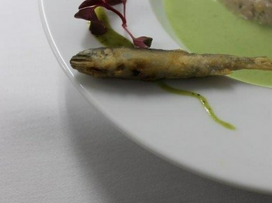 ●Menu Saison(ムニュ・セゾン)