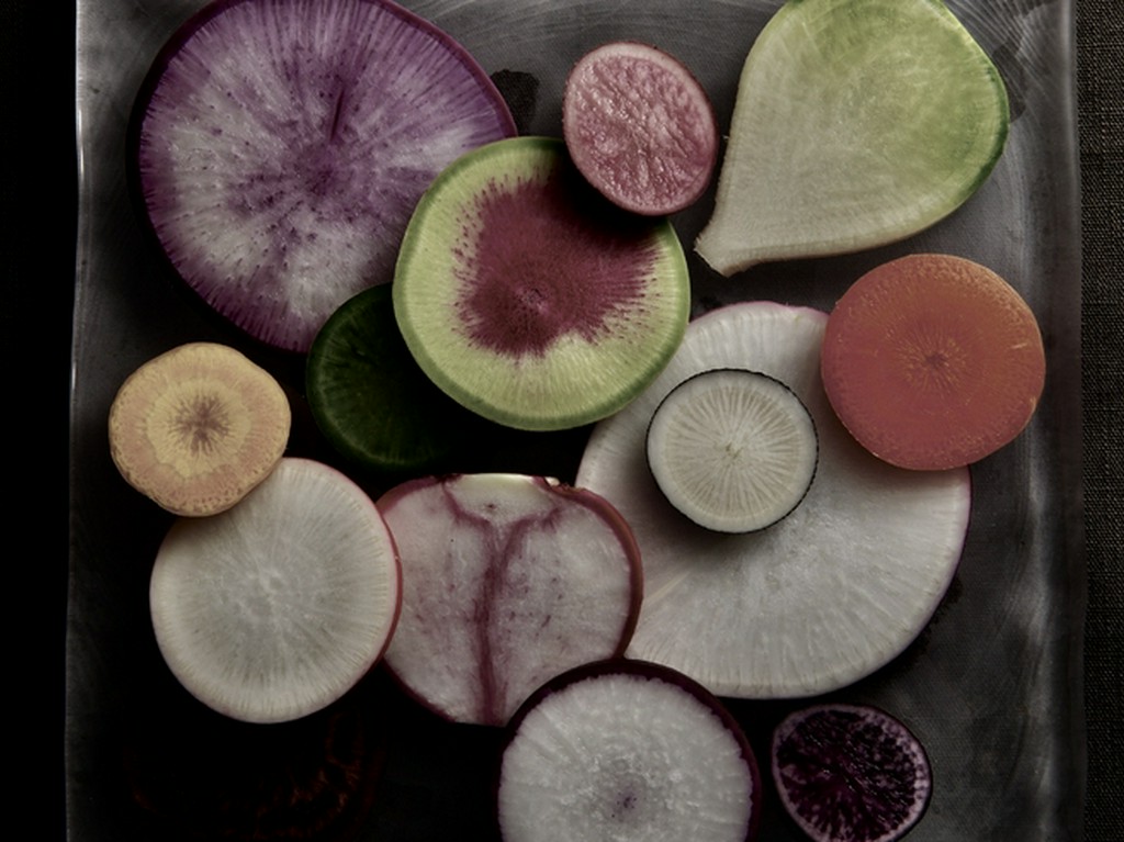 野菜をテーマにしたコース料理