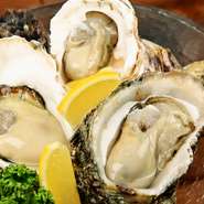 地元はもちろん、北海道や宮城、三重といった名産地を中心にそろった牡蠣を年中通して味わえます。海外産のものも厳選して輸入。生や焼き、蒸しの中から好きなスタイルで楽しんで。