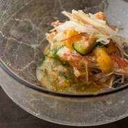 先付けの一例。酢に鰹出汁や柑橘を加えて仕立てる土佐酢と、旨み濃い旬の魚介が絶妙な相性。