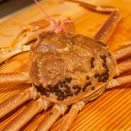 身がしっかり詰まったものだけを厳選。身の詰まりが味噌や身の甘みと直結しているのです。この日は兵庫県香美産。特定の産地ではなく、時期ごとに最良の逸品を仕入れています。