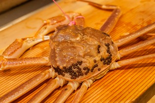 身がぎっしりと詰まった兵庫産「松葉ガニ」
