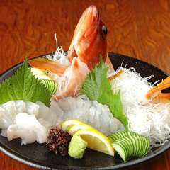 その日に採れた新鮮な魚介類を、リーズナブルな価格で味わえる　『牛深直送鮮魚の刺身盛り』