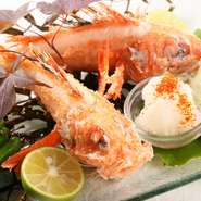 季節ごとのメニューもご用意。例えば、これからの季節に並び始める『釣キンキの唐揚げ』。「釣キンキ」とは、延縄（はえなわ）漁によって水揚げされるため、体に傷がつきにくく非常に鮮度の良い逸品です。