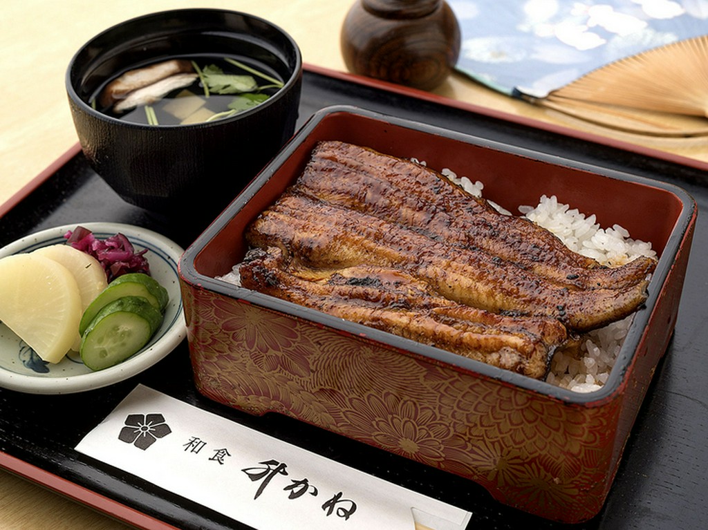 和食 升かね 武蔵小杉 元住吉 和食 ヒトサラ