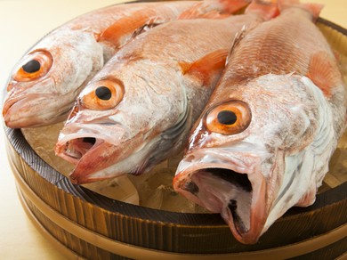 地のノドグロは鮮度抜群