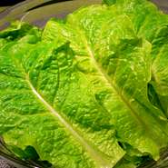 ・旨熟キムチ・緑菜ともやしのナムル☆本格肉巻き包菜《サンチュ》