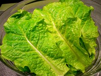 ・旨熟キムチ・緑菜ともやしのナムル☆本格肉巻き包菜《サンチュ》