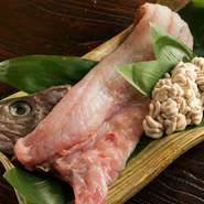 美味しければ産地にこだわらないという食材ですが、冬の時期は富山県の氷見より極上のタラを仕入れ、鍋や焼き物などにします。その他、冬はブリやホタルイカ、秋にはワラサやイナダなども氷見から取り寄せています。
