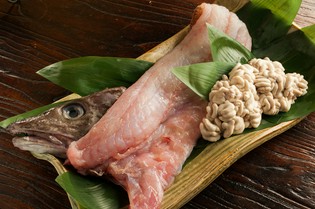 タラをはじめ氷見から直送されるこだわりの鮮魚