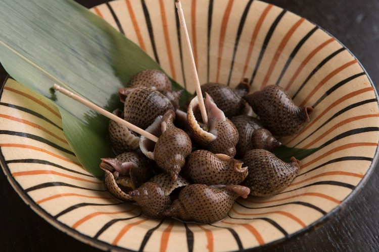 宮崎料理 でんでんでん 赤坂/創作和食 | ヒトサラ