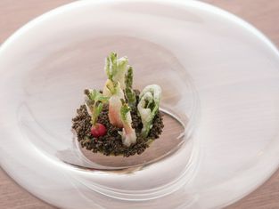 Restaurant Celaravird