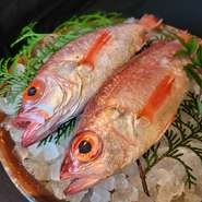 日本海を代表する高級魚「喉黒（のどぐろ）」。
贅沢に、塩焼きをお一人様一尾ずつお付けしている【縁】のプランがご接待のお客様にご好評を頂いております。