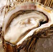 海のミルクと称される天然岩牡蠣は、日本海の夏の風物詩です。