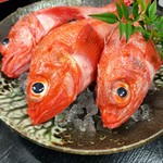 料理長が厳選した日本海を中心とした旬の高級食材を贅沢に楽しむ会席プラン。