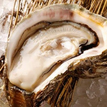 ＜全室個室＞【希（のぞみ）】「信州牛焼きしゃぶ」「合鴨治部煮」「能登穴子天麩羅」など～全9品～