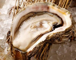 お酒に合わせるお料理も、北陸・新潟の素材を厳選しています