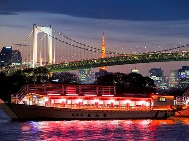 東京ベイエリアの夜景を一味違う角度から望めます